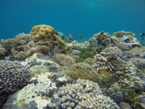 Underwater Sebanjar